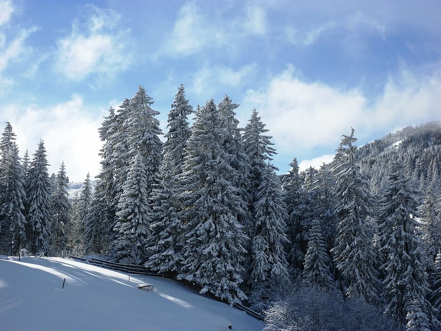 winter, snow, wintry, cold, landscape, snowy, winter cold, switzerland HD wallpaper