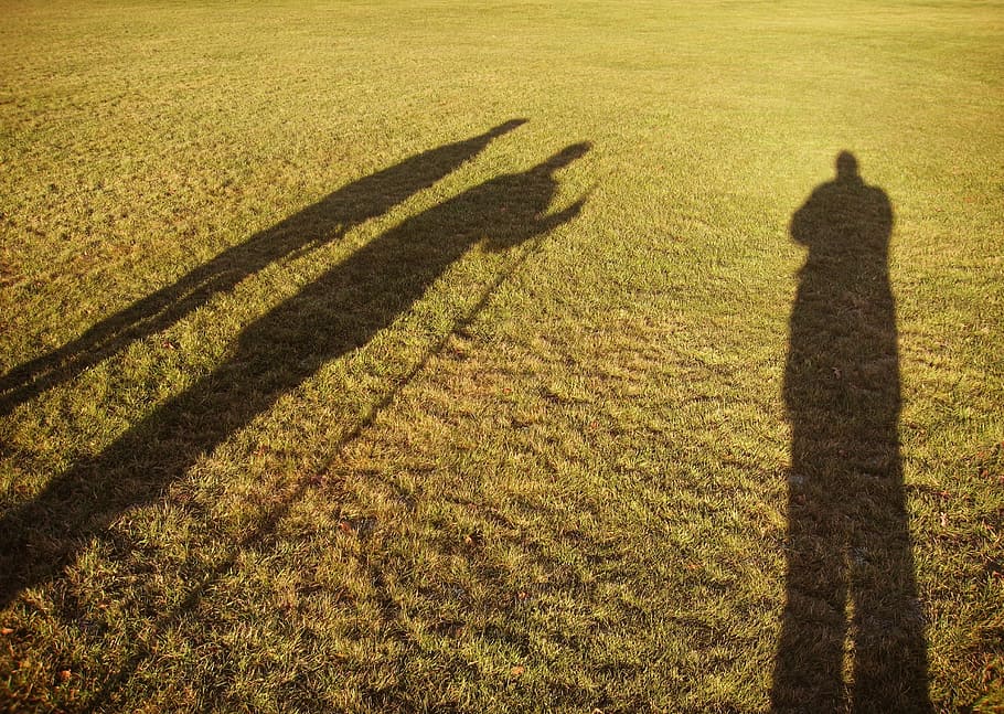 person's shadow on green grass field, shadows, men, three, wise HD wallpaper