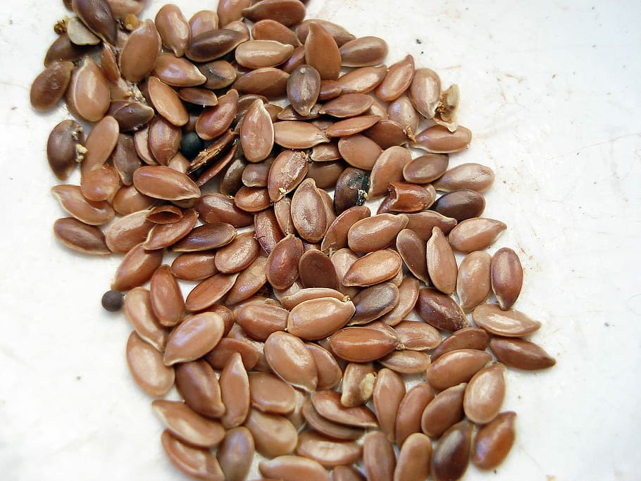 Linen, Seed, Mucilage, food and drink, healthy eating, no people HD wallpaper