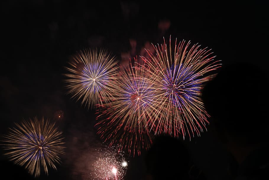 firework display, fireworks, white, red, light, color, lunar new year HD wallpaper