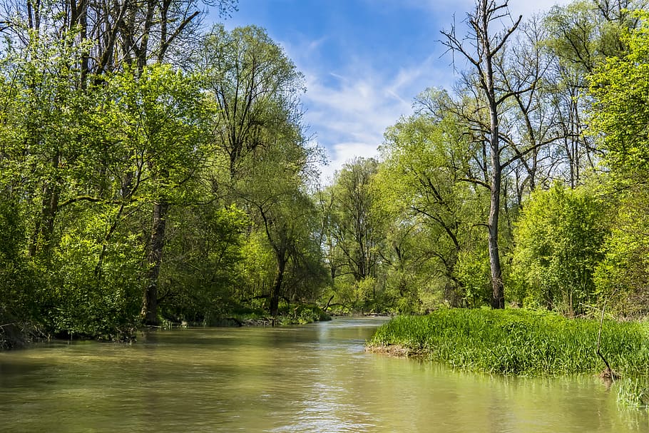 calm body of water in between forest trees at daytime, bach HD wallpaper