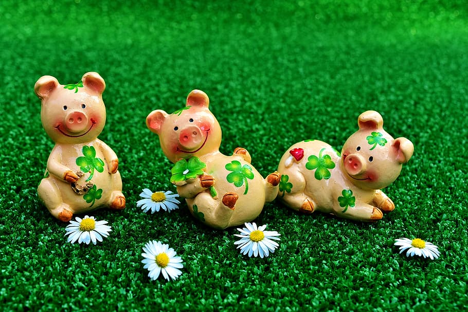 three yellow-and-pink pigs ceramic figurines on green grass, Lucky, HD wallpaper