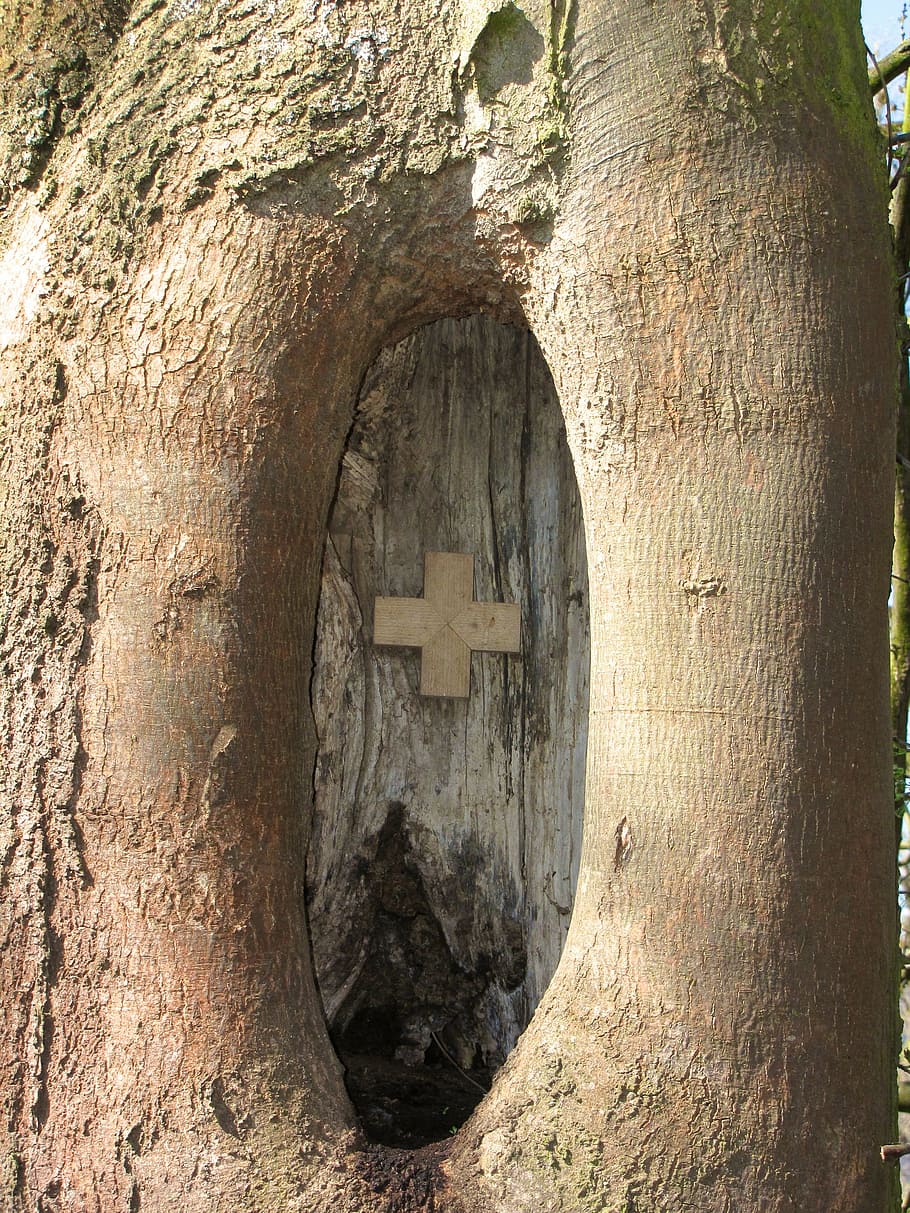 knothole, tree, scar, cross, close, christian, faith, no people HD wallpaper
