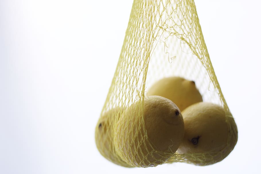 lemons, hanging, fruit, nutrition, studio shot, white background HD wallpaper