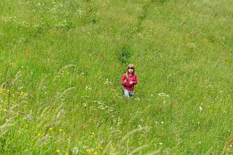 nature, meadow, grass, green, child, girl, person, walk, plant HD wallpaper