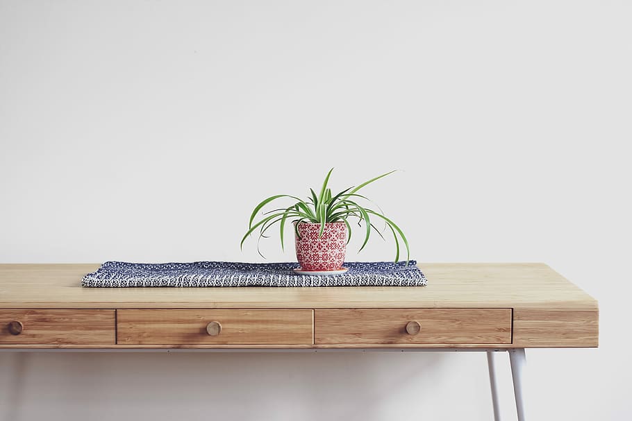 plant on top of beige wooden desk with 2-drawer chest, white wooden cabinet HD wallpaper
