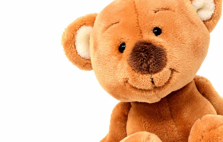 closeup photo of brown bear plush toy, teddy, cute, soft toy, HD wallpaper