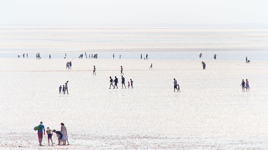 people in body of water, Seaside, Summer, Coast, Beach, vacation HD wallpaper