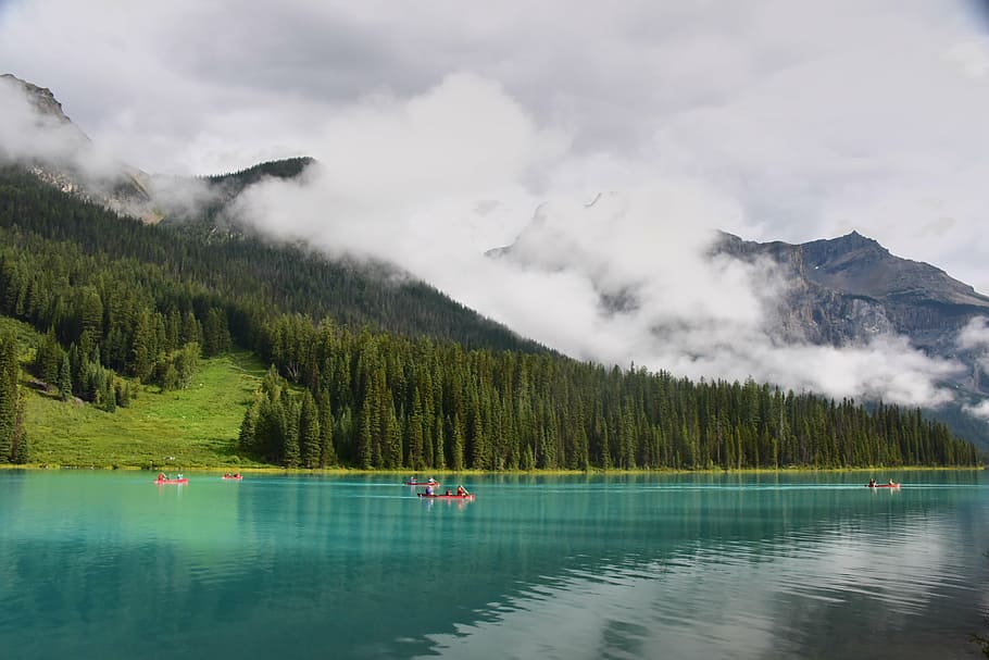 lake, mountain, the water, reflection, woods, wallpaper, cloud HD wallpaper