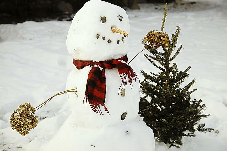 snowman in red plaid scarf, white, winter, christmas, cold HD wallpaper