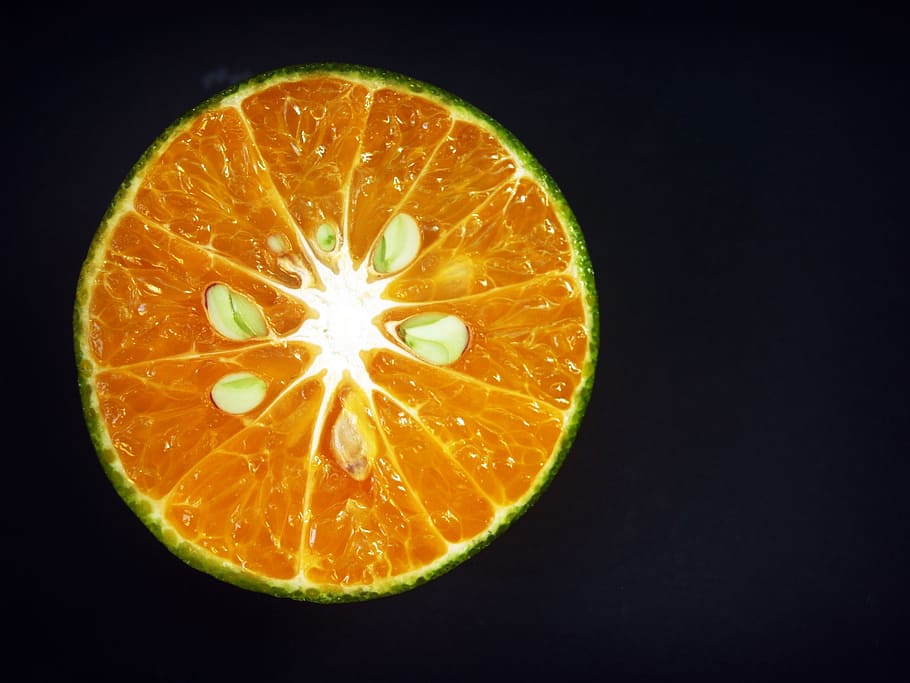 orange, fruit, slice, white, citrus, sour, isolated, agriculture HD wallpaper