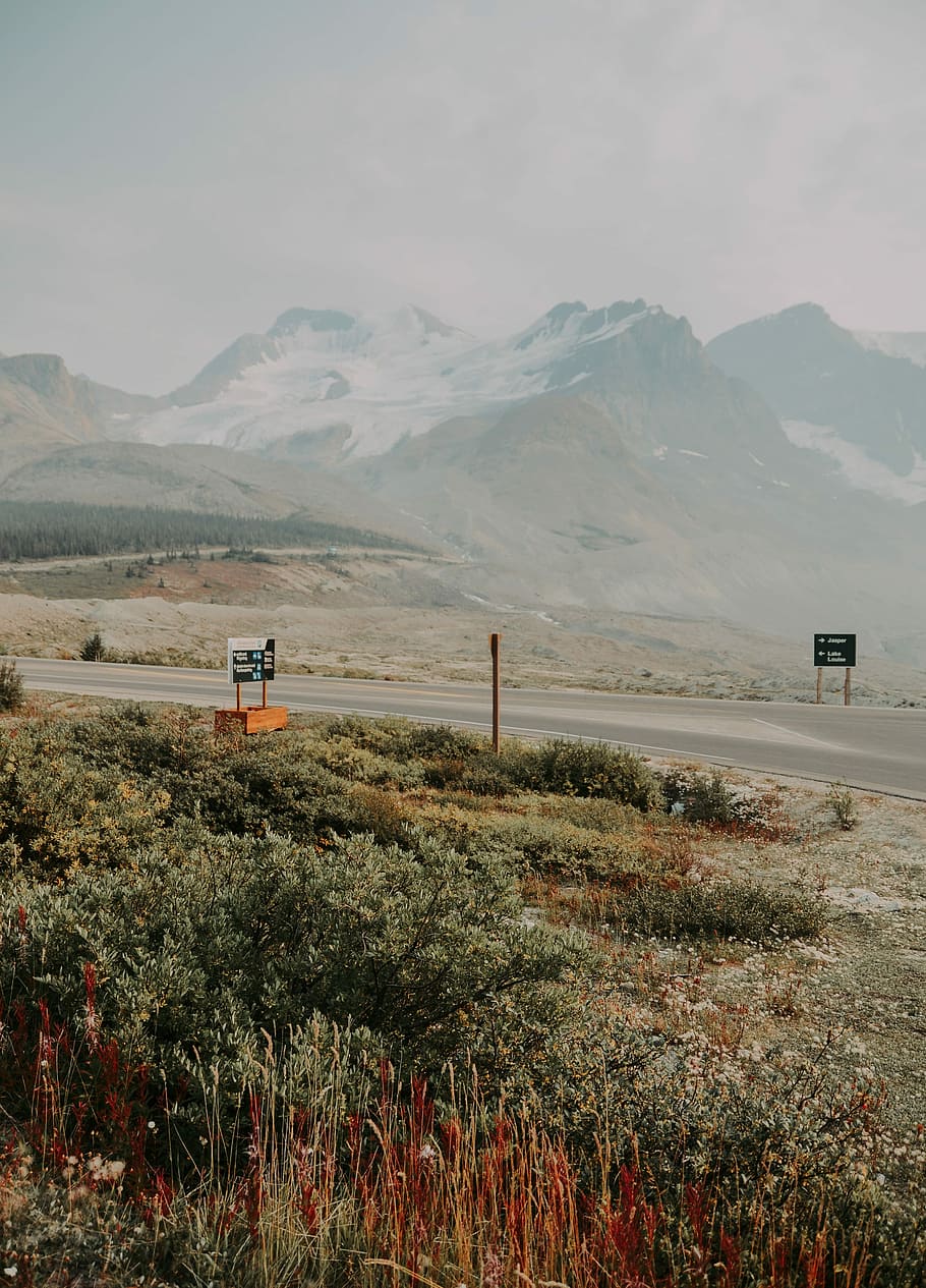 green trees covered mountains, road near snow-capped mountain during daytime HD wallpaper