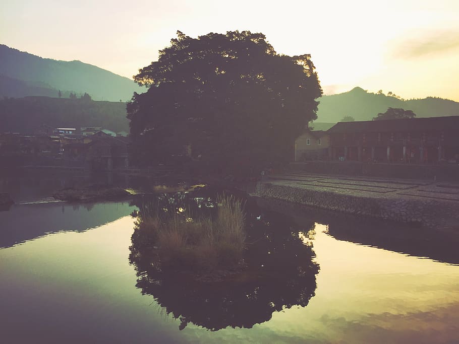 reflection, tree, river, water, architecture, building exterior HD wallpaper