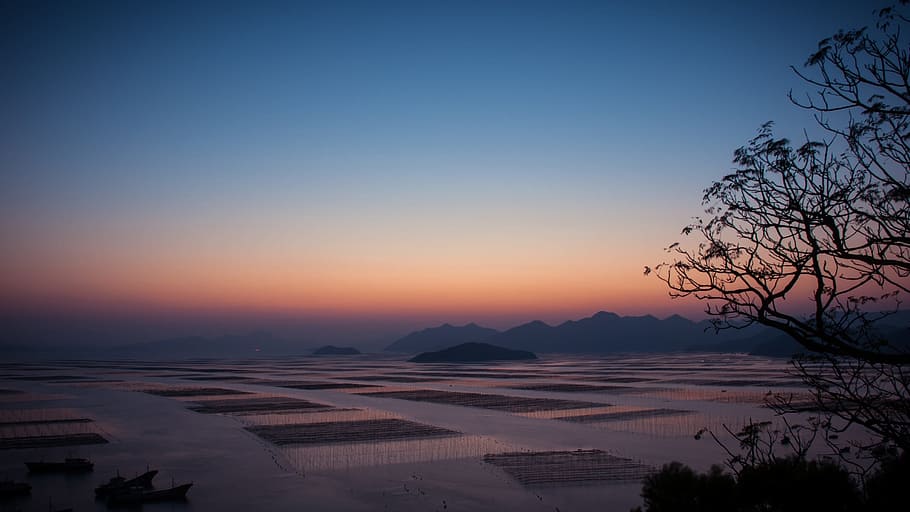 evening, dusk, twilight, view, lake, aqua, farming, cultures HD wallpaper