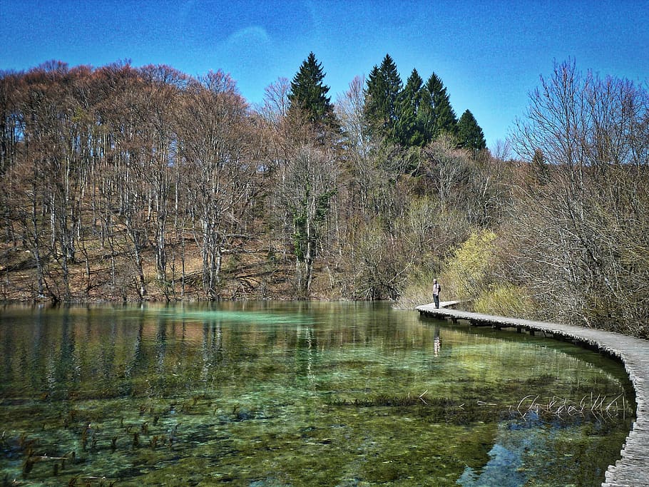 Path, Lake, Placid, Water, Scenic, forest, landscape, nature HD wallpaper
