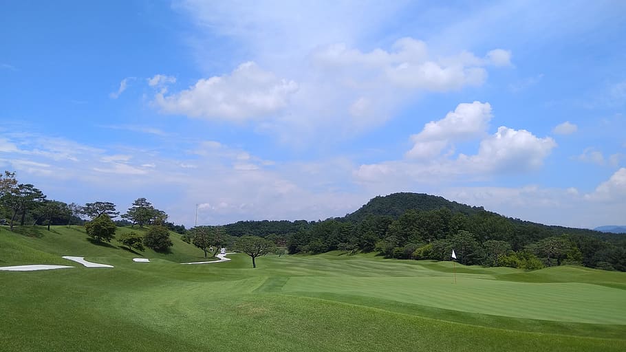 golf course, field, sky, sport, grass, green color, cloud - sky HD wallpaper