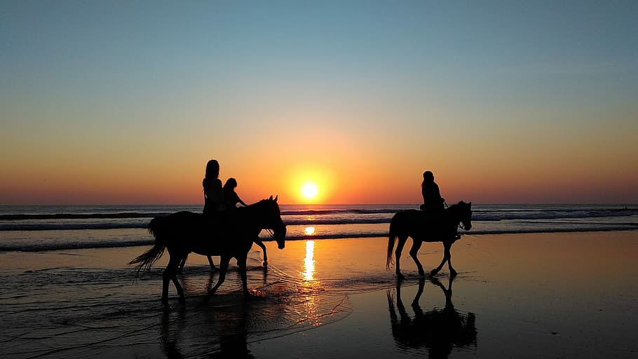silhouette photography of a three person riding a horse walking on the beach under, HD wallpaper