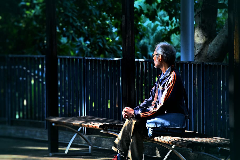 man sitting on wooden bench, man sitting on bench near green leafed trees during daytime shallow focus photography HD wallpaper
