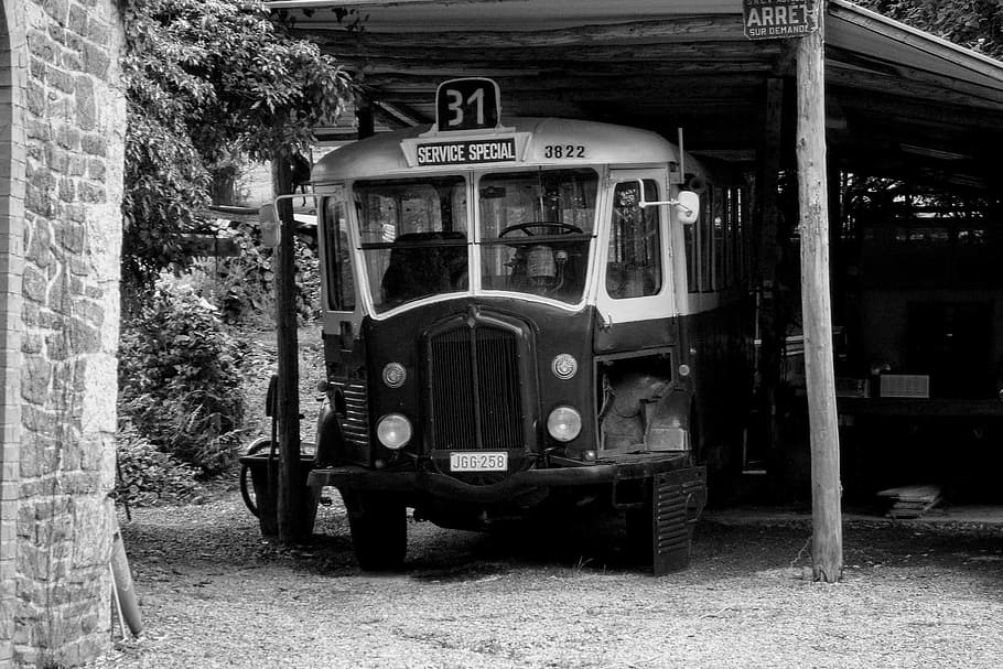 Old, Oldtimer, School Bus, Retro, vintage, transportation, land vehicle HD wallpaper