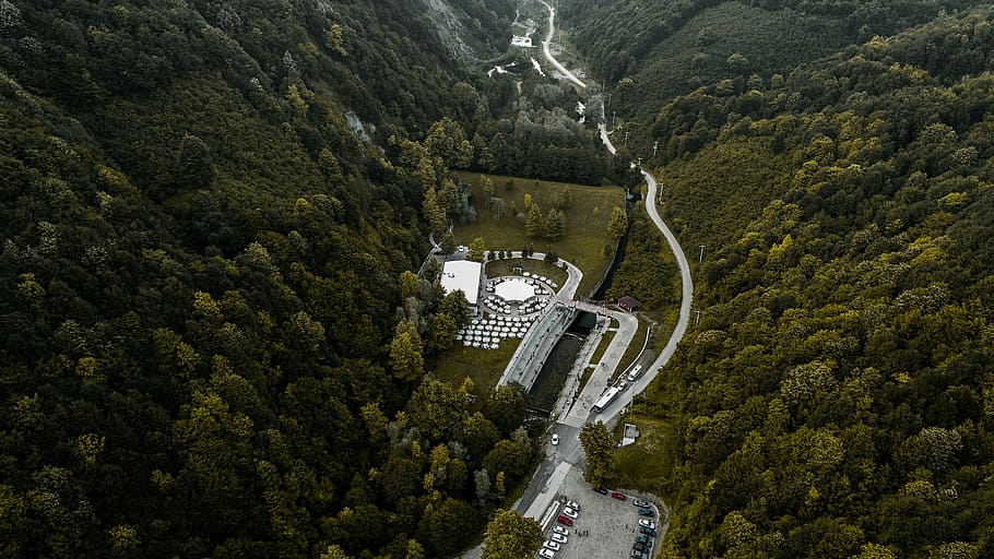 aerial photography of buildings between forest, landscape photography of road surrounded by tree during daytime HD wallpaper