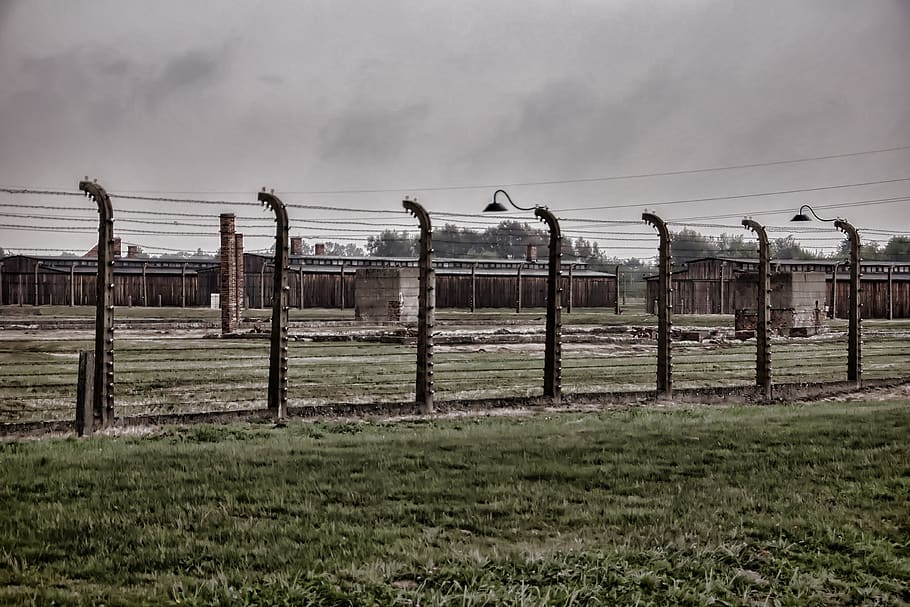 HD wallpaper: auschwitz 2, brezinka, poland, the holocaust, camp ...