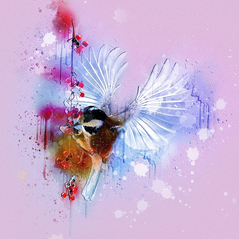 abstract painting, tit, bird, fly, berries, rowan berries, feed, HD wallpaper