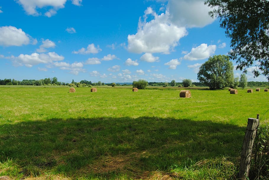 field, clouds, landscape, agriculture, farm, rural Scene, nature HD wallpaper