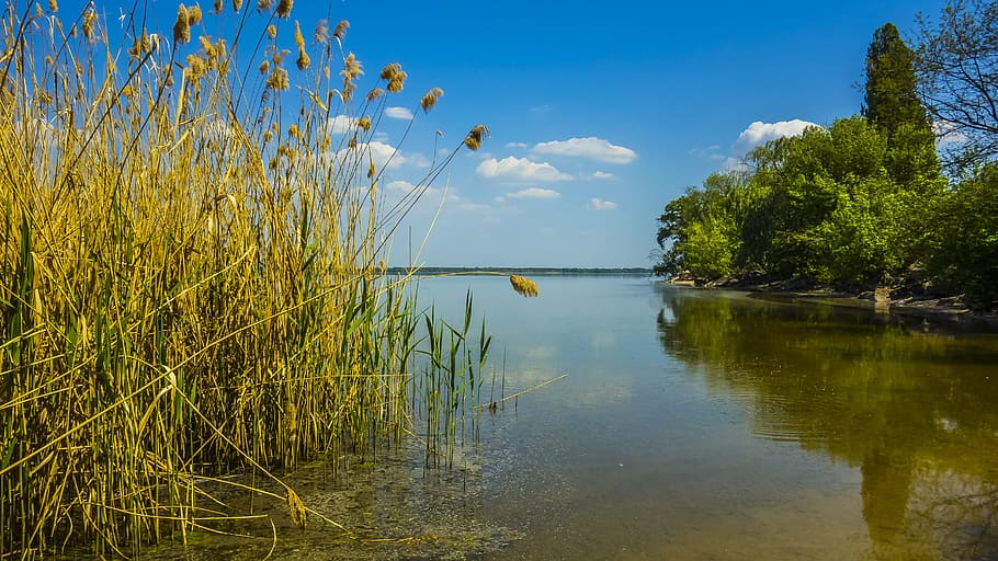 water, nature, reflection, sky, lake, landscape, plant, tranquility HD wallpaper