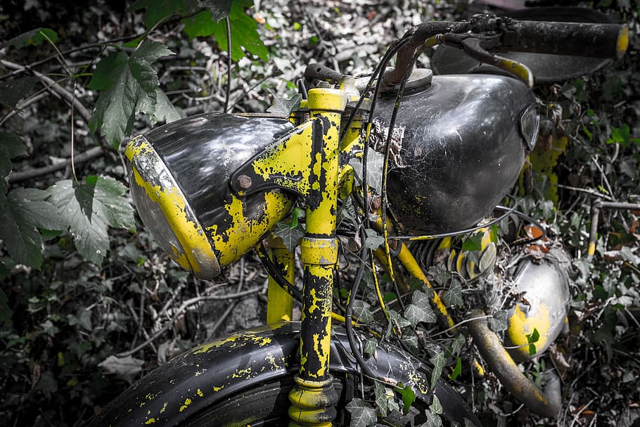 lost place, turned off, old, overgrown, rusted, defect, nature HD wallpaper