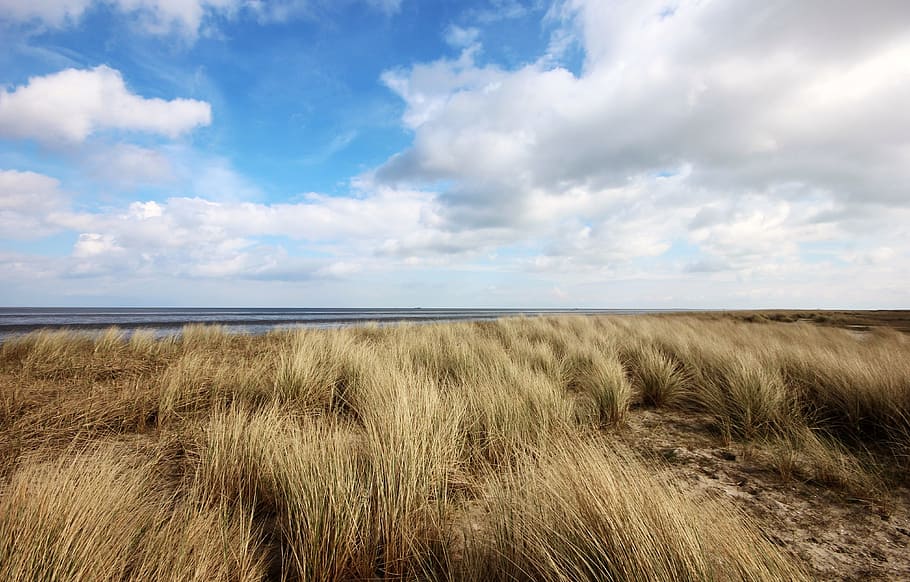 North Sea, Clouds, Wind, Sea, Sea, Beach, Sky, blue, friesland HD wallpaper