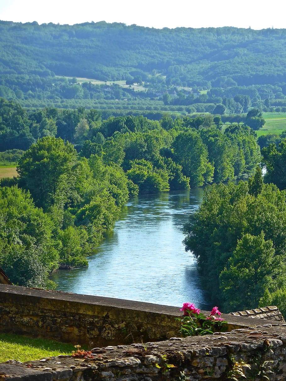 river, flower, red, bloom, view, landscape, flora, plant, wall HD wallpaper