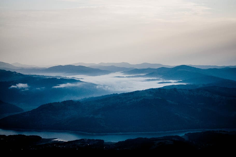 forest mountain with fog during daytime, black hill beside river under white sky at daytime HD wallpaper