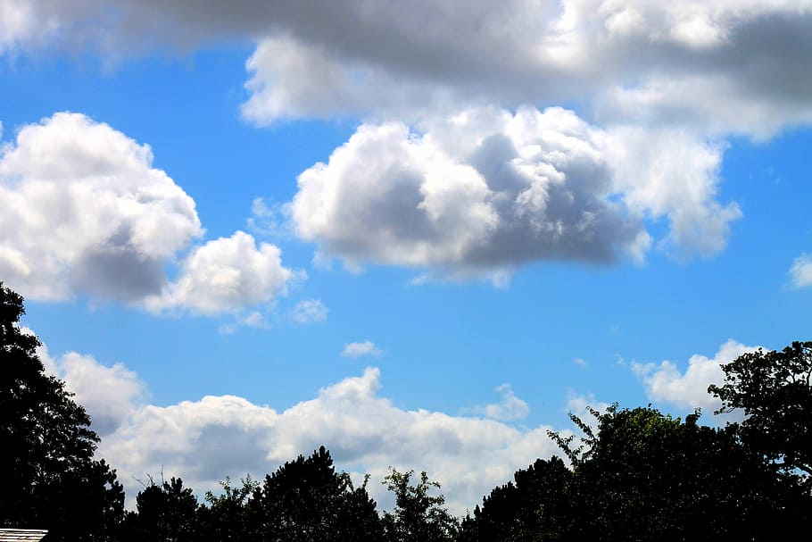 Clouds, Landscapes, Trees, sky, silhouette, silhouettes, cloud - sky HD wallpaper