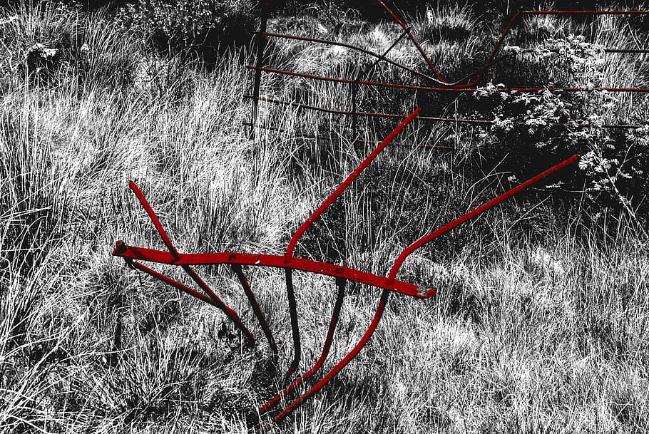 fence, red, grass, metal, black and white, countryside, rusty HD wallpaper