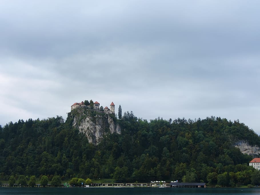 castle, slovenia, bled, mountain, tree, plant, sky, architecture HD wallpaper