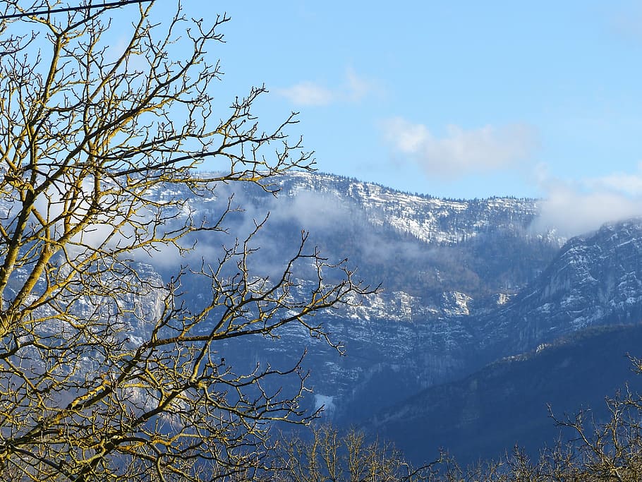 landscape, view vercors, tree, walnut, winter, mountain, nature HD wallpaper