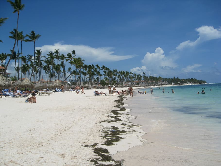 Beach, Punta Cana, Dominican, Sand, Sun, resort, caribbean, HD wallpaper
