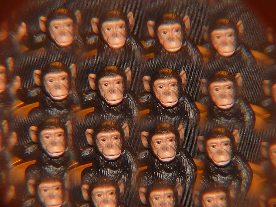 monkey, kaleidoscope, art, indoors, looking at camera, portrait HD wallpaper