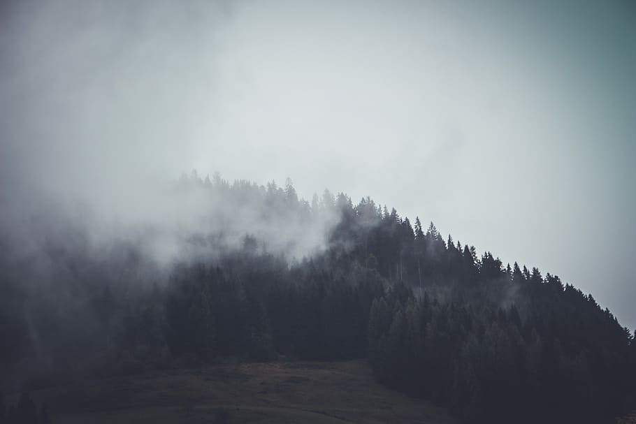 silhouette of mountain covered with white fo, grayscale photo of mountain covered with fogs HD wallpaper