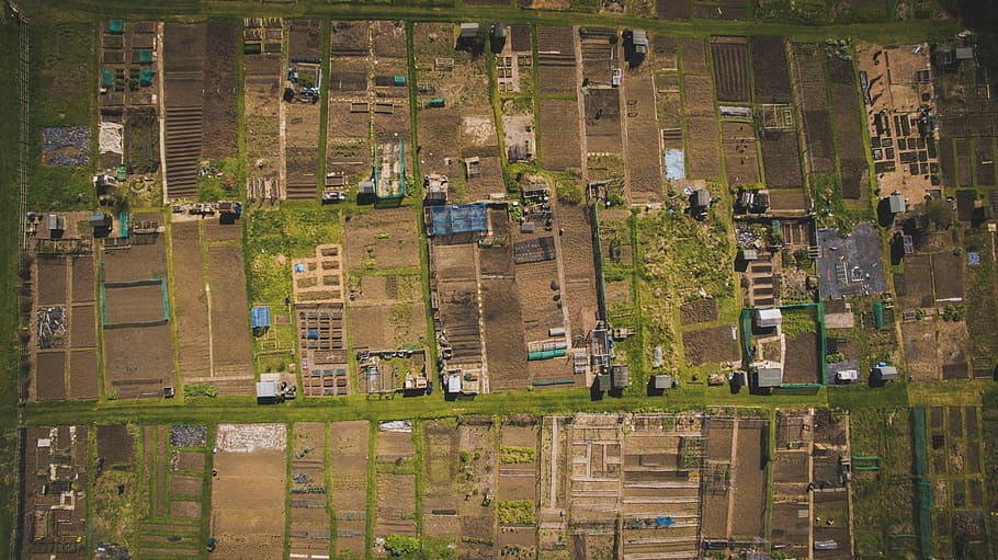 bird's eye view of buildings and grass, aerial view of village at daytime HD wallpaper