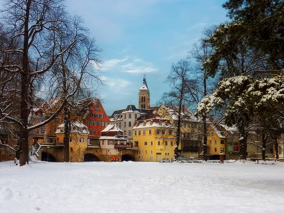 landscape photography of yellow buildings, esslingen, germany HD wallpaper