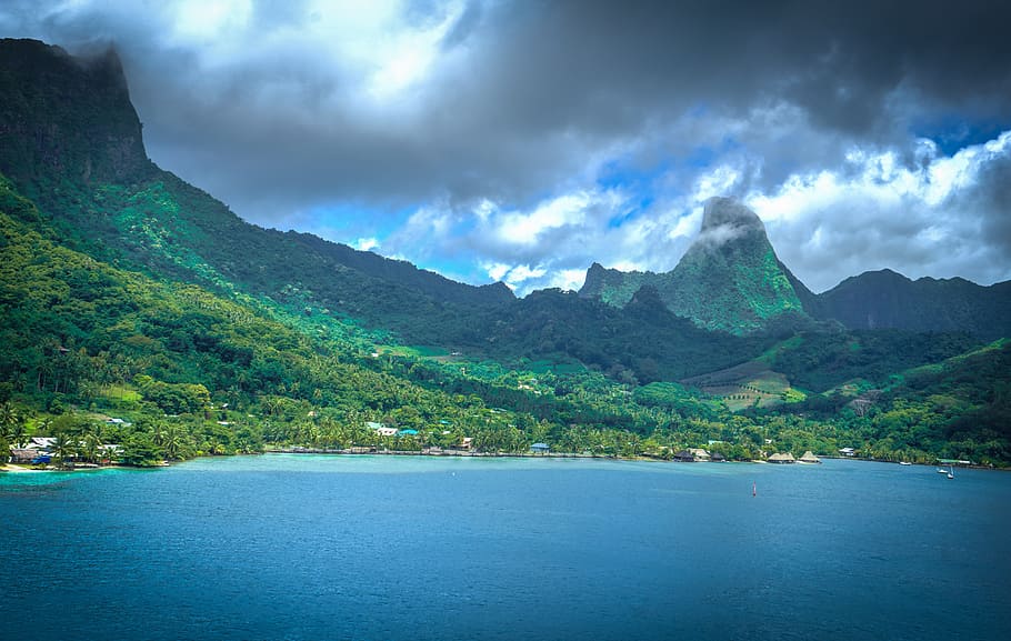 photo of beach and green trees and mountains, moorea, french HD wallpaper
