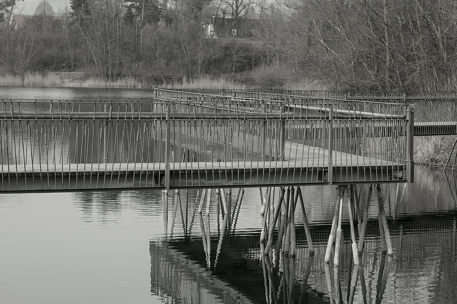 water, web, lake, nature, jetty, water running, entry, boardwalk HD wallpaper