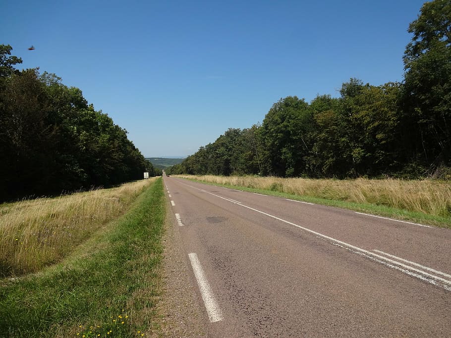 road, field, climb, landscape, plant, sky, tree, transportation HD wallpaper