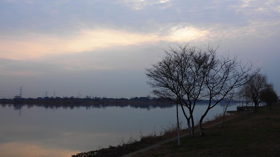 water, sunset, sky, cloud - sky, tree, bare tree, tranquility HD wallpaper