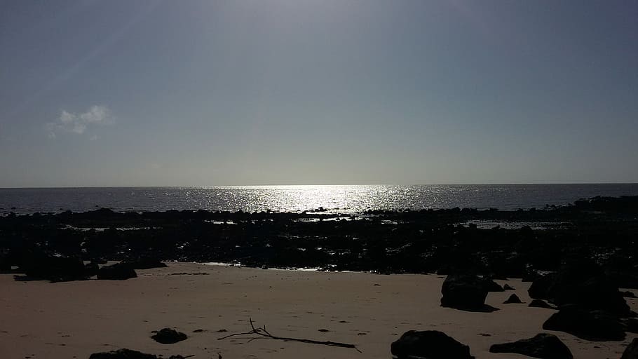 Save, Earth, Marajo, Bethlehem, save earth, sea, beach, horizon over water HD wallpaper