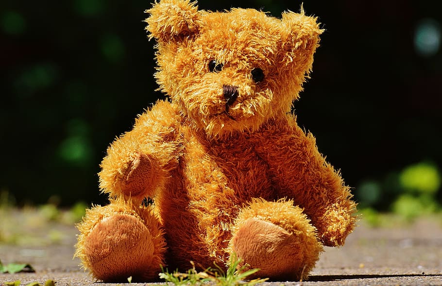 bear, teddy, soft toy, stuffed animal, teddy bear, brown bear HD wallpaper