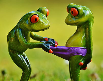 Frogs, Curious, Surprise, Fun, funny, underpants, cute, figure HD wallpaper