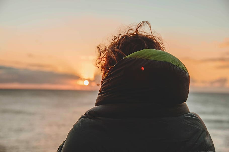 person wearing hooded jacket watching golden hor, person's back facing body of water HD wallpaper