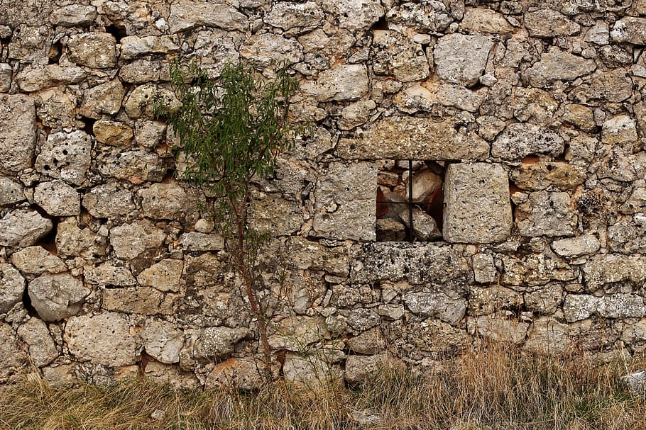 stonewall, tree, window, cross, built structure, architecture HD wallpaper